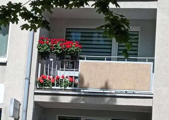 Apartament Ale Laba